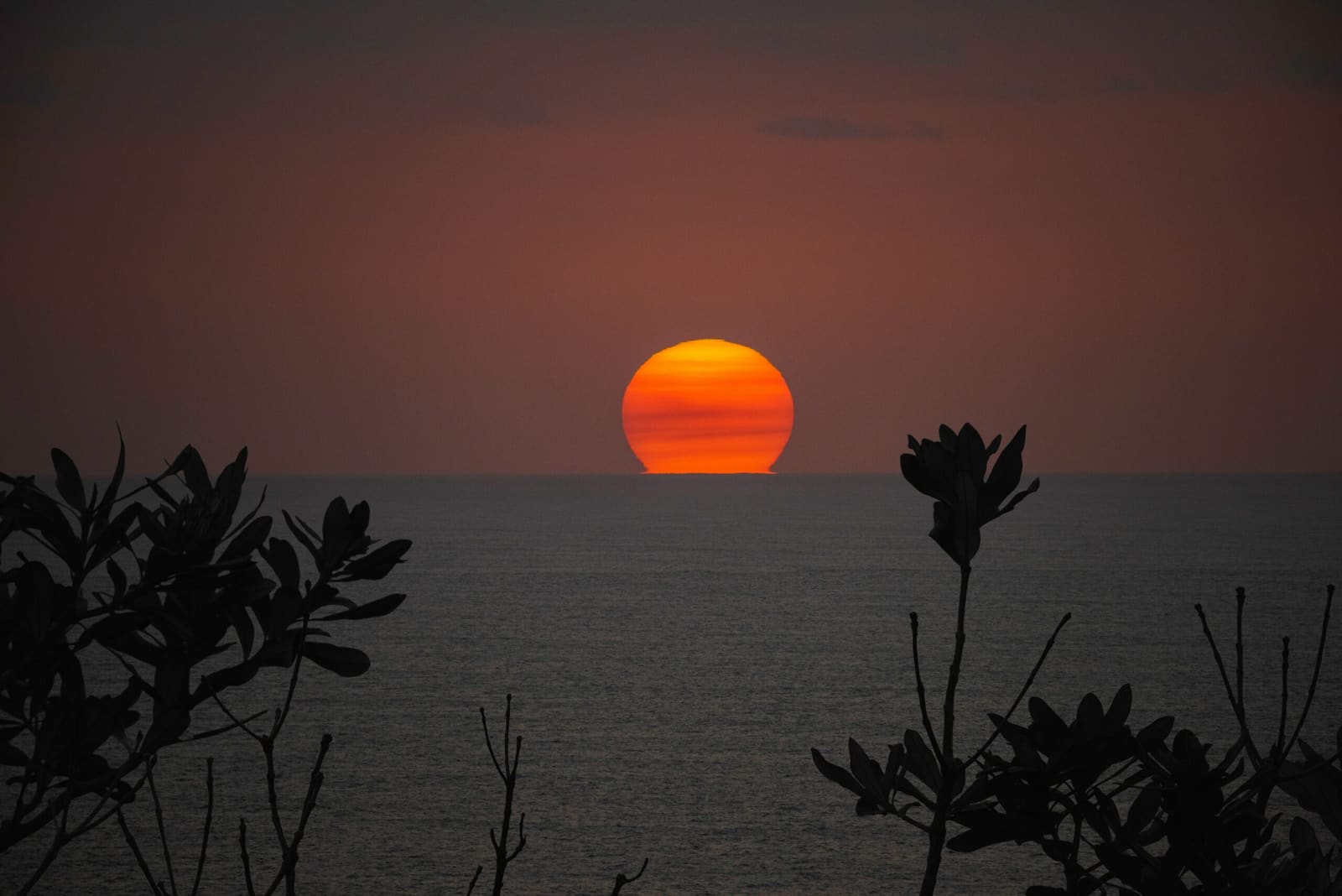 sunrise through bushfire smoke